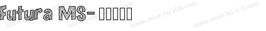 Futura MS字体转换